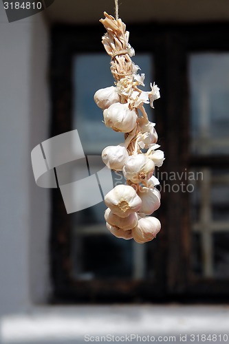 Image of Garlic bundle