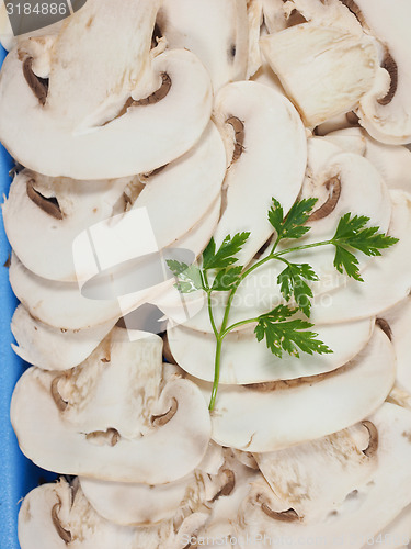 Image of Champignon mushroom background