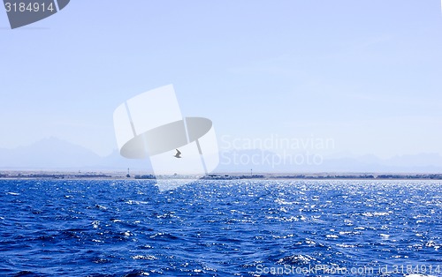 Image of Seagull flying near the Ship.
