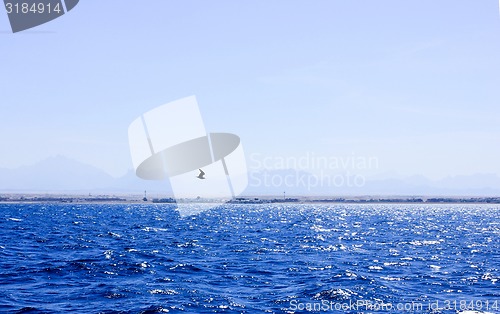 Image of Seagull flying near the Ship.