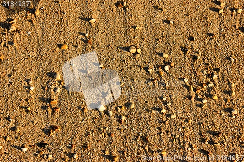 Image of Beach Pebble  Background