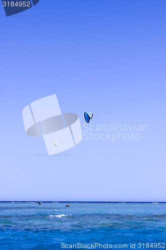 Image of Parasail