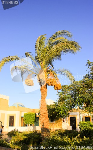 Image of Arabian traditional  House