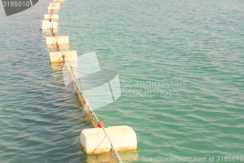 Image of Floats in Water. 