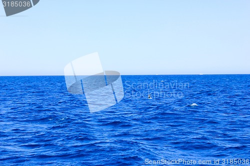 Image of Sea Blue Water Background 