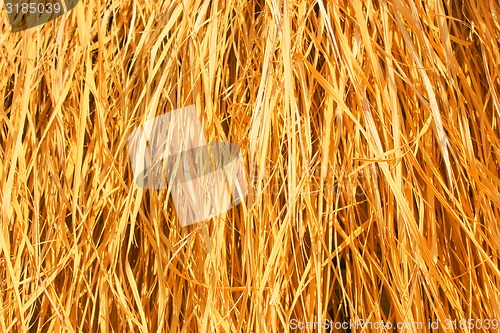 Image of Yellow dry grass background