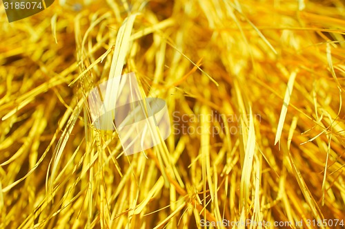 Image of Yellow dry grass background.