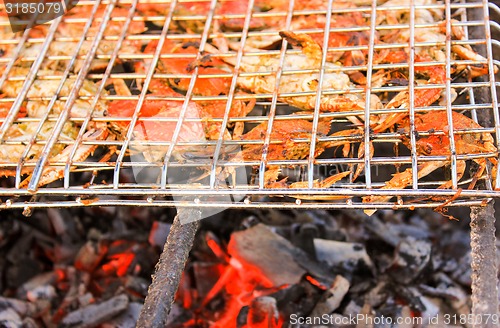 Image of Grilled crab on flaming grill.