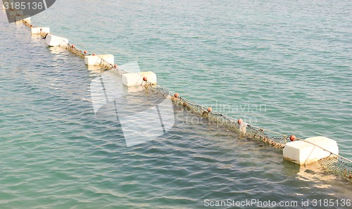 Image of Buoys.