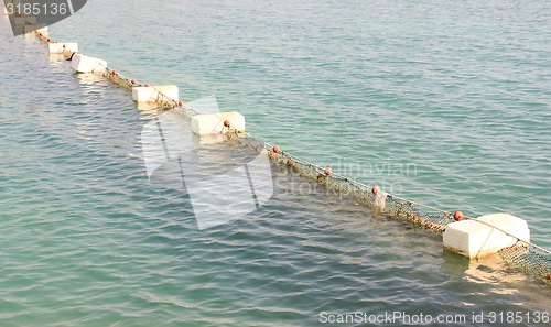 Image of Buoys.