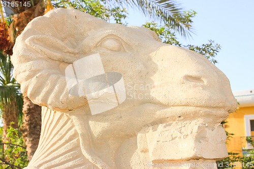 Image of am-headed sphinx