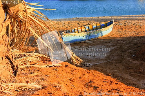 Image of Wooden Boat and Old Trees