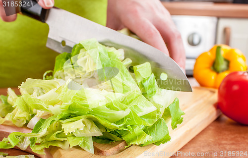 Image of Woman\'s hands cutting vegetables