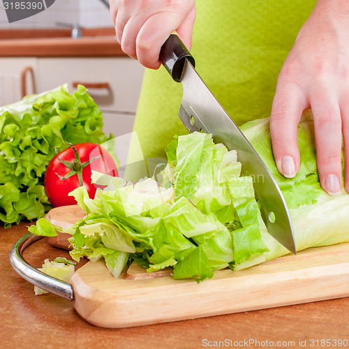 Image of Woman\'s hands cutting vegetables