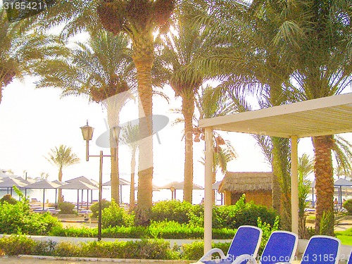 Image of Chairs for Taking Sun  Baths 