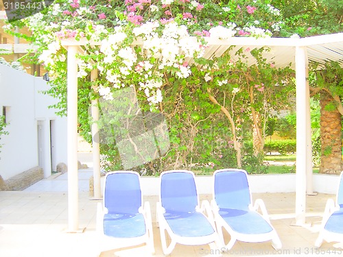 Image of Chairs for Taking Sun  Baths.