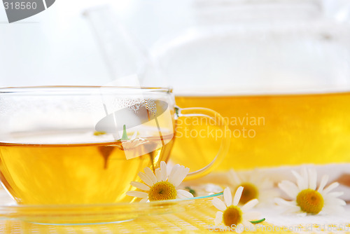 Image of Camomile tea