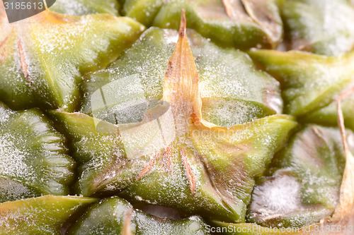 Image of Close up texture of fresh ripe pineapple background