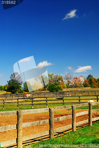 Image of Rural landscape