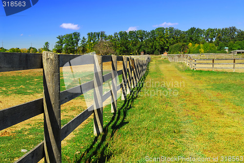 Image of Rural landscape