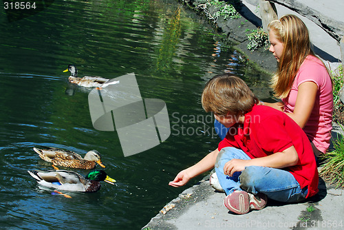Image of Children feeding ducks