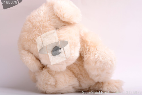 Image of teddy bear