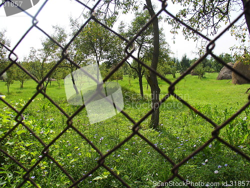 Image of garden behind the fence