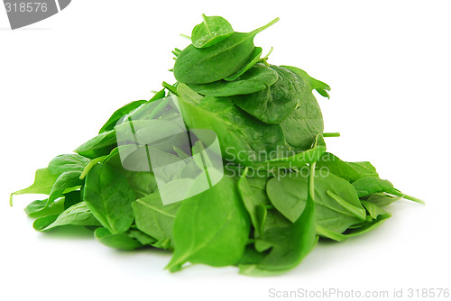 Image of Spinach