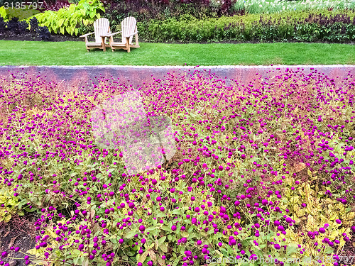 Image of Garden with purple flowers and wooden chairs