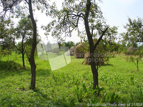 Image of romanian garden