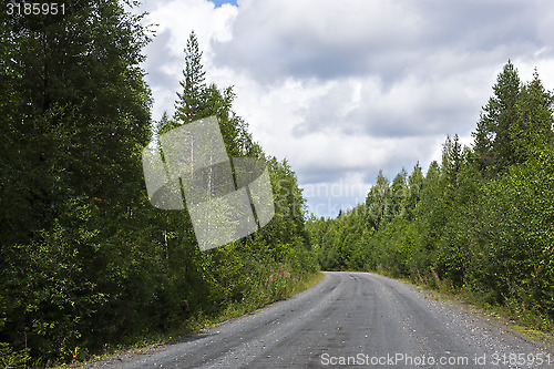 Image of Country road in beautiful wild summer forest