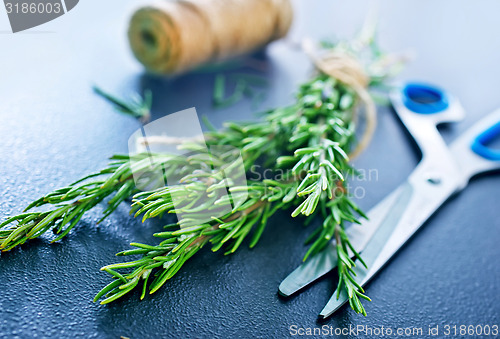 Image of rosemary