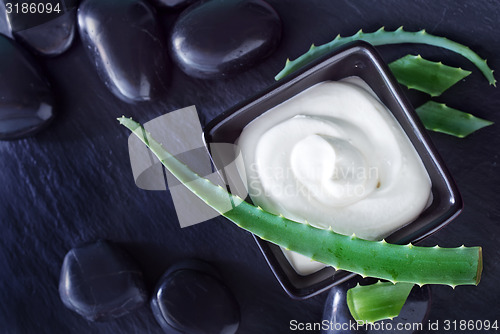 Image of Aloe Vera with Lotion Box