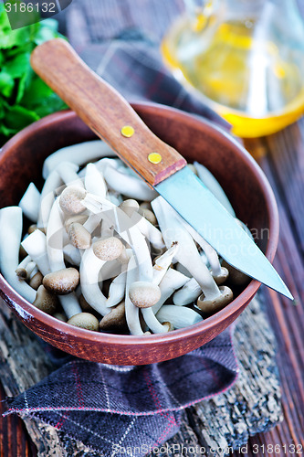 Image of raw mushrooms