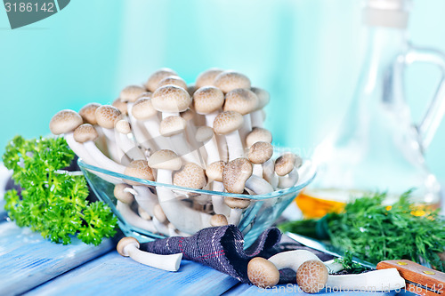 Image of mushrooms