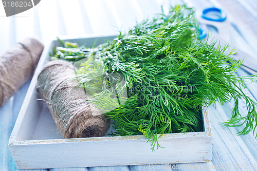 Image of fresh dill