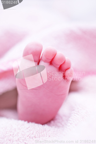 Image of baby foot