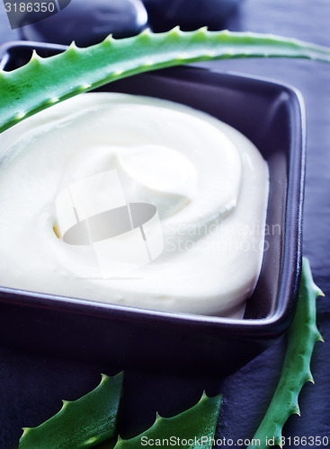 Image of Aloe Vera with Lotion Box