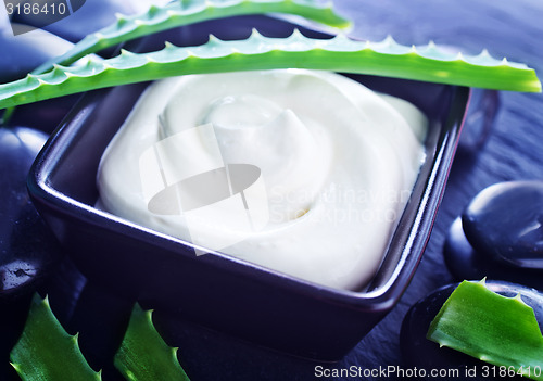 Image of Aloe Vera with Lotion Box