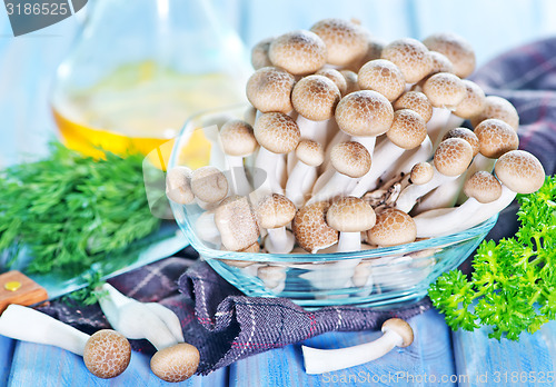 Image of mushrooms