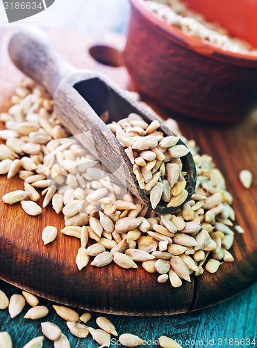 Image of sunflower seed