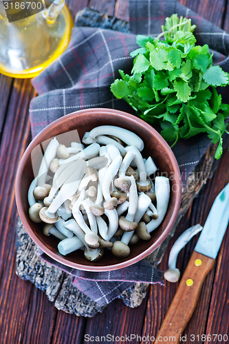 Image of raw mushrooms
