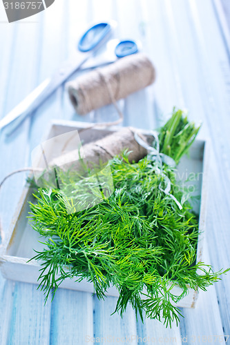 Image of fresh dill