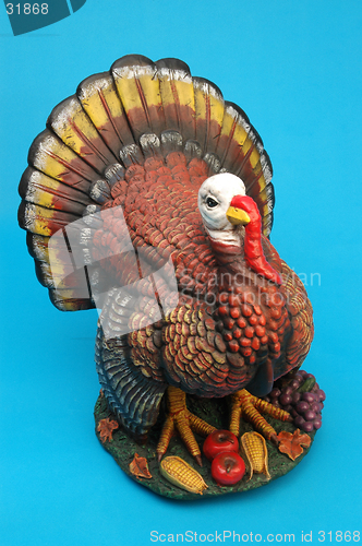 Image of gobble gobble