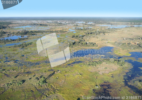 Image of Okavango Delta