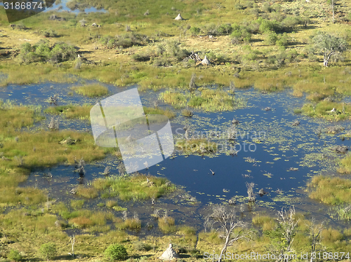 Image of Okavango Delta