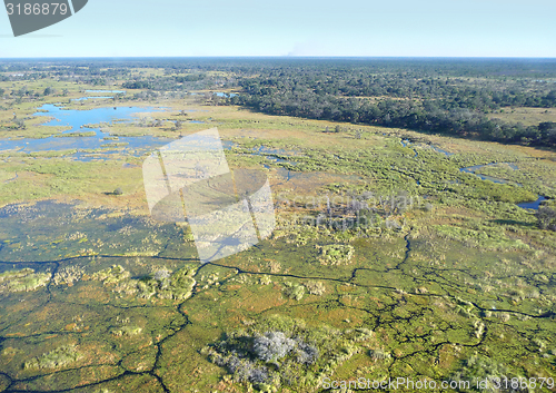 Image of Okavango Delta