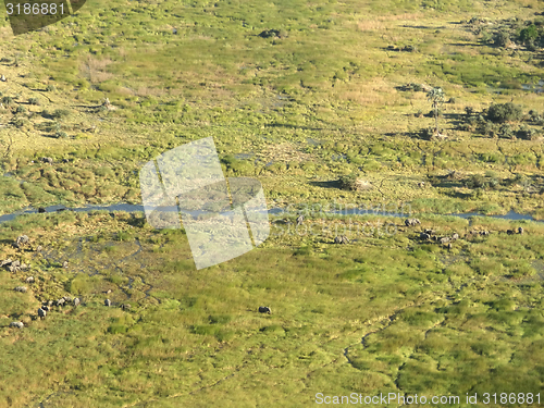 Image of Okavango Delta