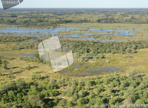 Image of Okavango Delta