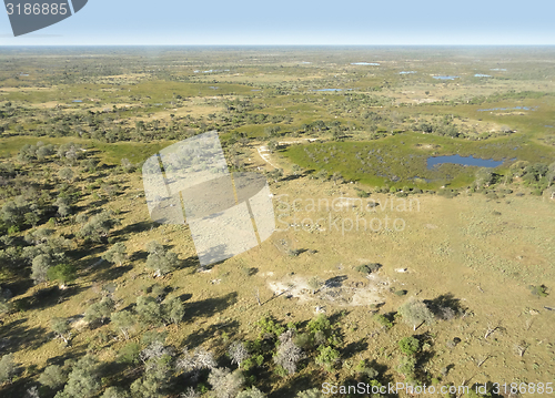 Image of Okavango Delta